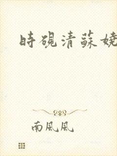 时砚清苏娆小说