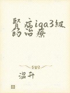 肾病iga3级的治疗