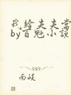 我给夫夫当老婆by百魁小说在线阅读全