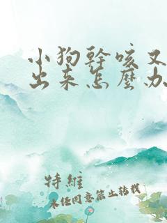 小狗干咳又咳不出来怎么办