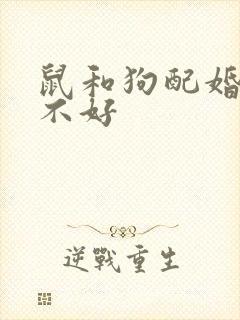 鼠和狗配婚姻好不好