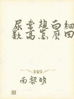 尿常规白细胞计数高怎么回事