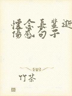 怀念长辈逝世的伤感句子