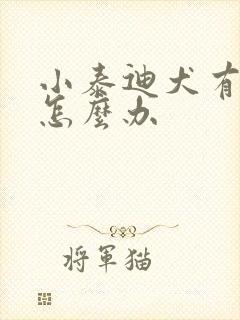 小泰迪犬有泪痕怎么办