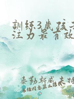 训练3岁孩子专注力最有效的方法