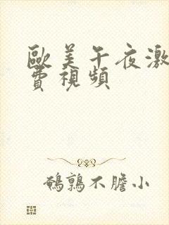 欧美午夜激情免费视频