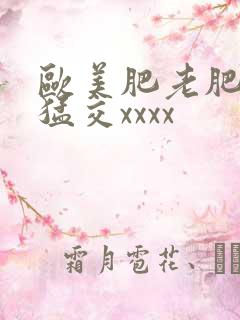 欧美肥老肥婆性猛交xxxx