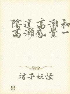 阴道高潮和阴蒂高潮感觉一样吗