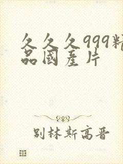 久久久999精品国产片