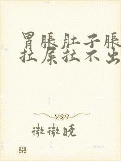 胃胀肚子胀疼想拉屎拉不出来