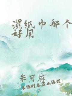 湿纸巾哪个牌子好用