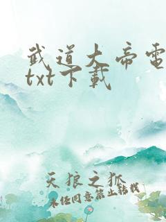 武道大帝电子书txt下载