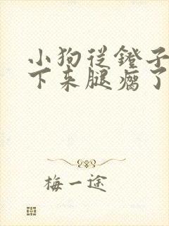 小狗从凳子上摔下来腿瘸了