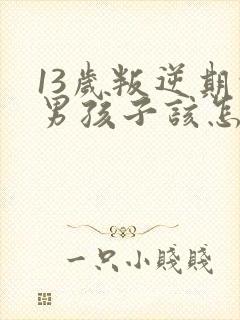 13岁叛逆期的男孩子该怎样去沟通教育