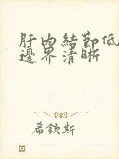 肝内结节低回声边界清晰