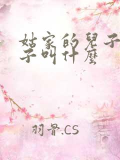 姑家的儿子的儿子叫什么