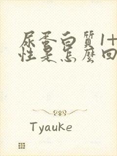 尿蛋白质1+阴性是怎么回事