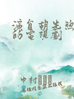 演员胡先煦演过的电视剧