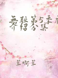 无耻第5季剧情介绍分集