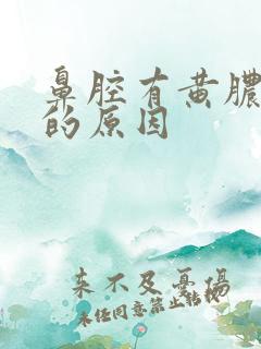 鼻腔有黄脓鼻涕的原因