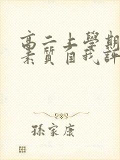 高二上学期综合素质自我评价500字