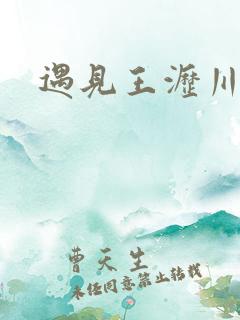 遇见王沥川床戏