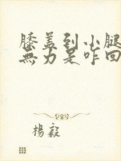 膝盖到小腿酸软无力是咋回事