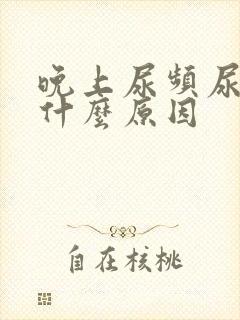 晚上尿频尿多是什么原因