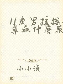 11岁男孩总流鼻血什么原因