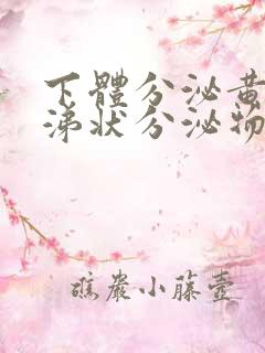 下体分泌黄色鼻涕状分泌物