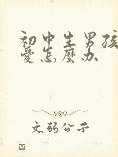 初中生男孩谈恋爱怎么办