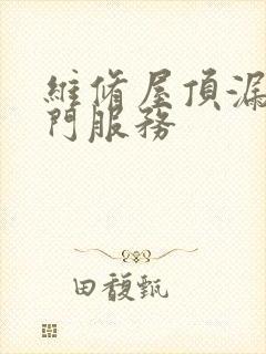 维修屋顶漏水上门服务