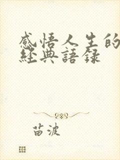 感悟人生的话语经典语录