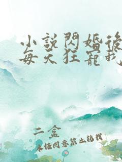 小说闪婚后大叔每天狂宠我免费阅读