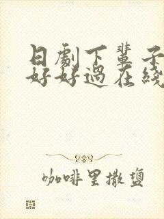 日剧下辈子我再好好过在线观看