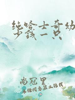 纯哈士奇幼犬多少钱一只