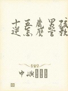 十五岁男孩子叛逆怎么管教更有效