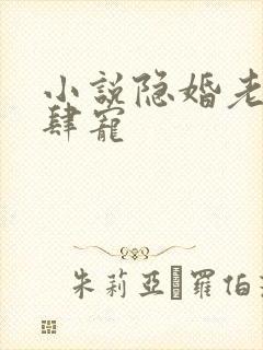 小说隐婚老公放肆宠