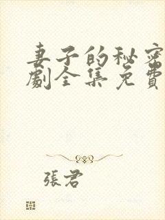 妻子的秘密电视剧全集免费完整版