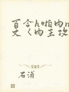 百合h啪肉np文〈肉主攻
