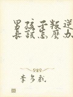 男孩子叛逆期家长该怎么办