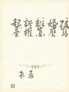 起诉离婚孩子抚养权怎么写