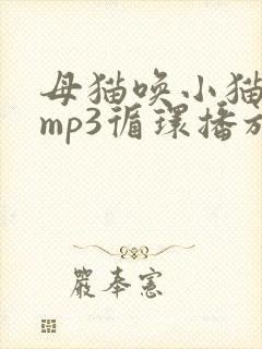 母猫唤小猫声音mp3循环播放