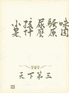 小孩尿骚味太重是什么原因