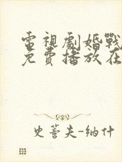 电视剧婚战全集免费播放在线观看