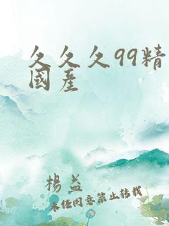 久久久99精品国产