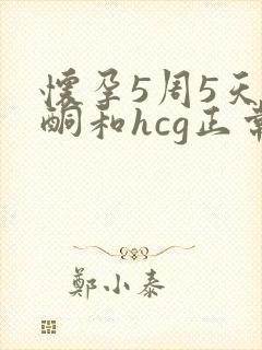 怀孕5周5天孕酮和hcg正常值是多少