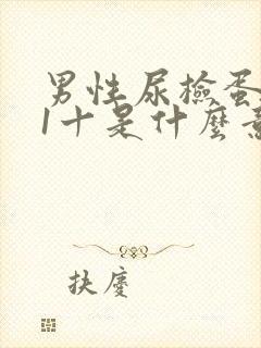 男性尿检蛋白质1十是什么意思