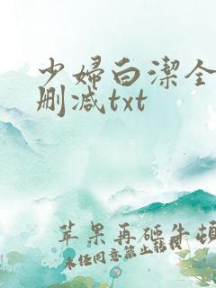 少妇白洁全文无删减txt