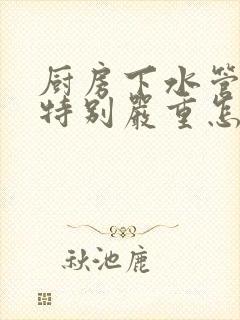 厨房下水管反味特别严重怎么解决